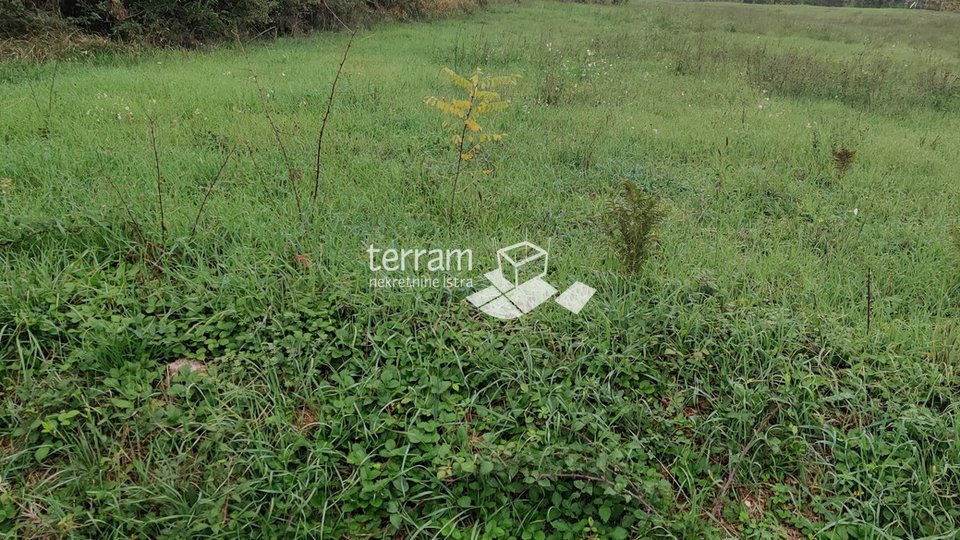 Istria, Barban, building and agricultural land 3752m2, for sale
