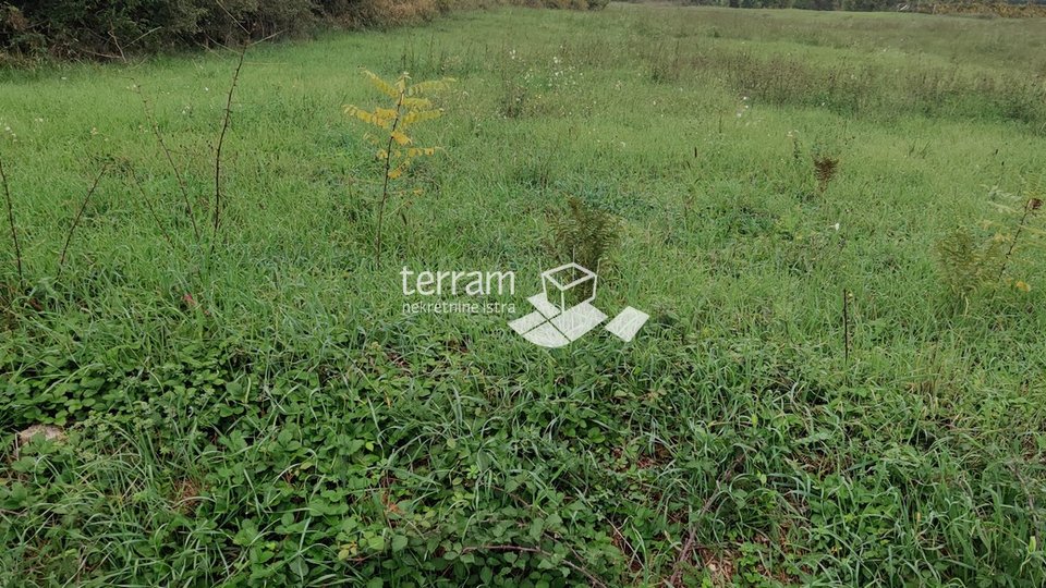 Istria, Barban, building and agricultural land 3752m2, for sale