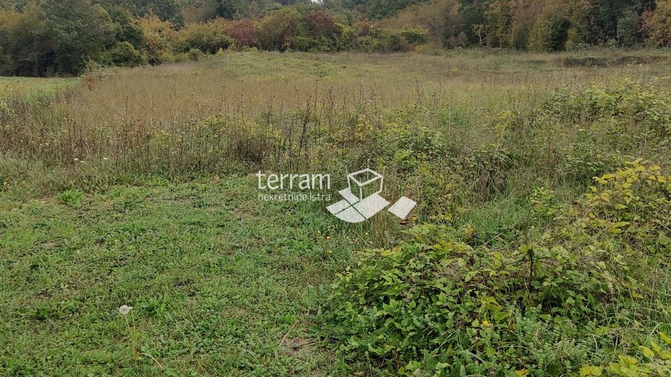 Istria, Barban, building land 3127m2 for sale
