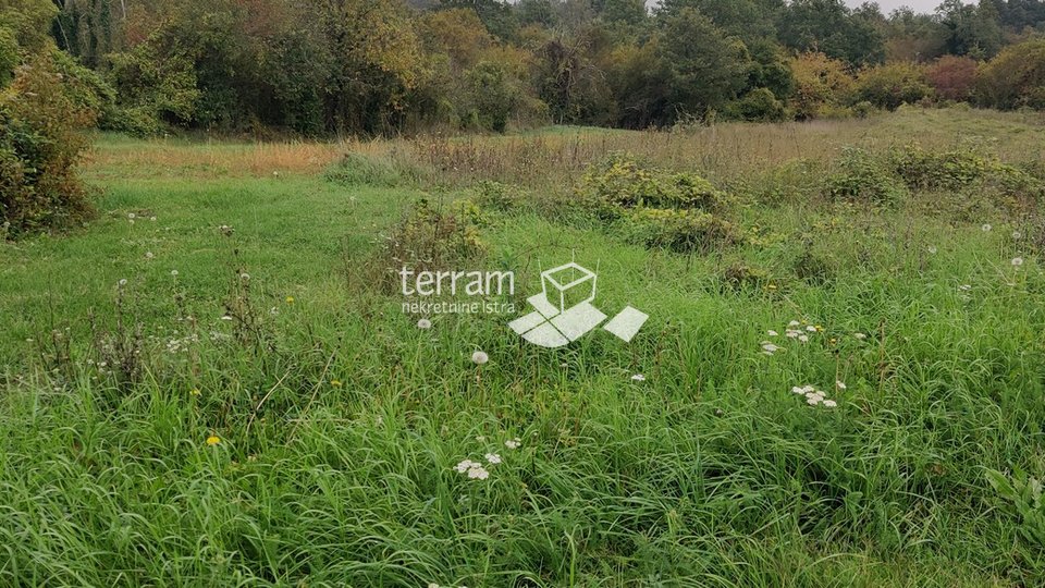 Istria, Barban, building land 3127m2 for sale
