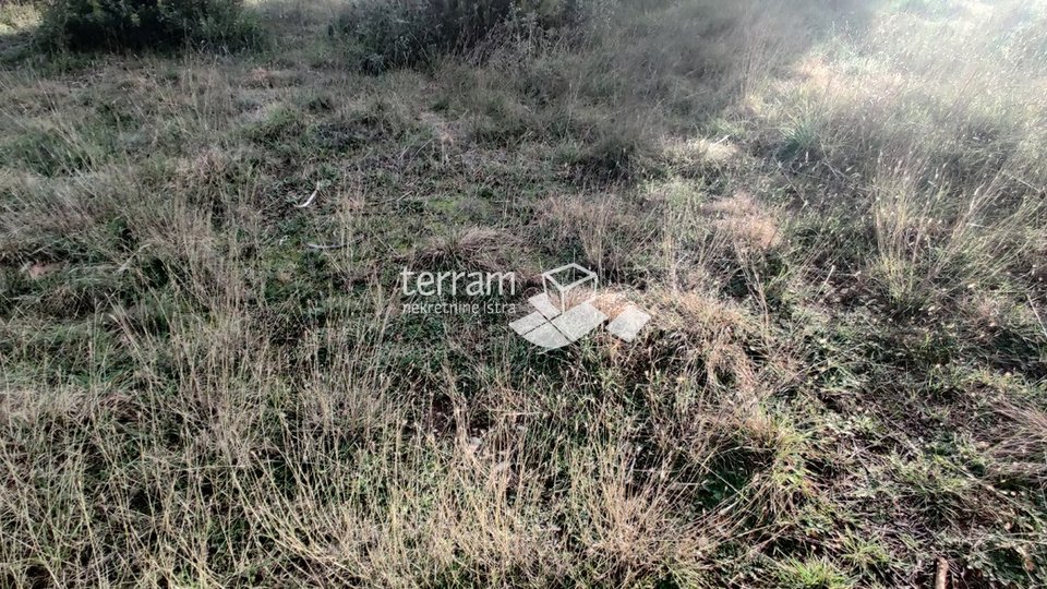 Istria, Štinjan, two building plots 989m2 and 1014m2, for sale