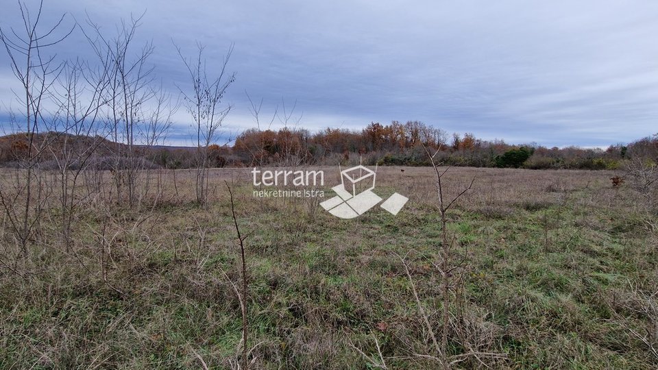 Istria, Bale beautiful agricultural land 20,050 m2 next to the main road for sale