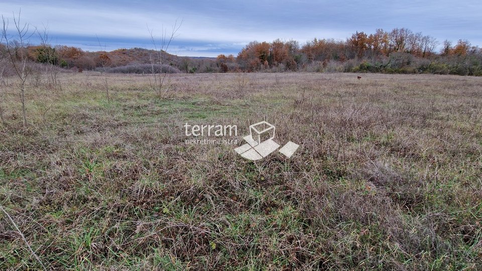 Istria, Bale beautiful agricultural land 20,050 m2 next to the main road for sale
