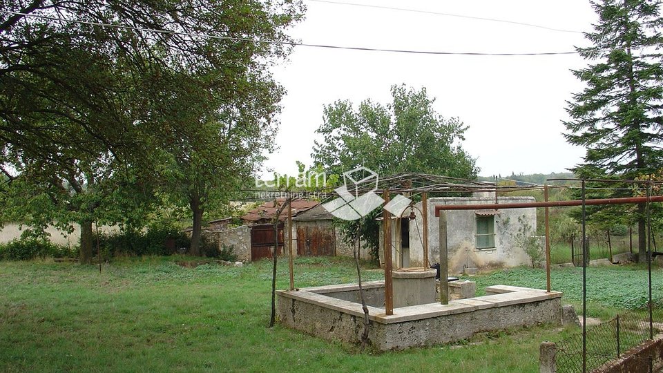 Istra, Barban okolica, imanje sa građevinskom dozvolom, 11153m2