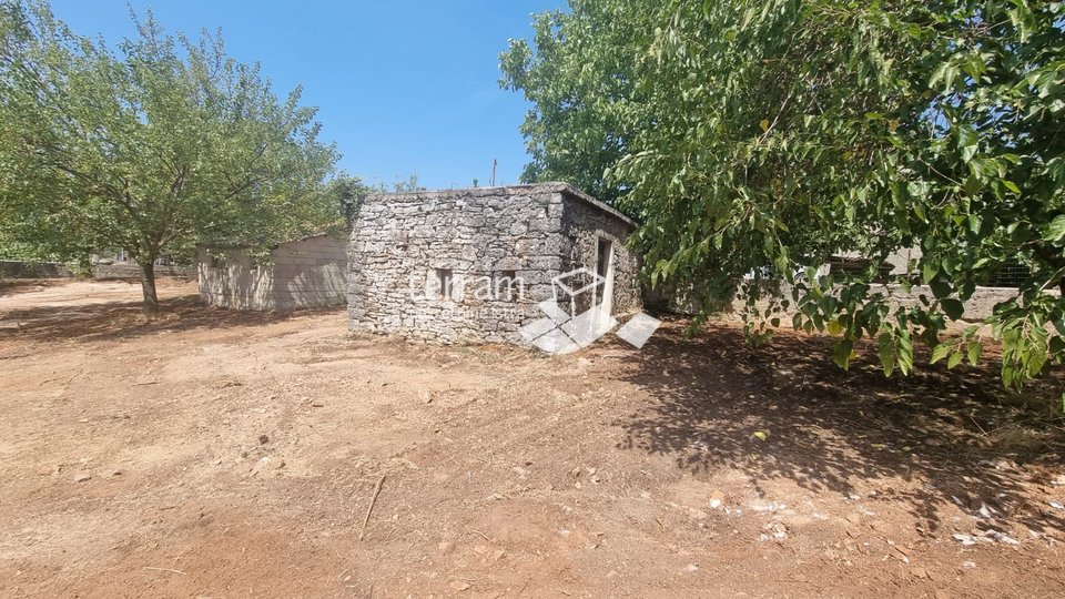Istra, Barban, stara istarska kuća 200m2 s velikom okućnicom od 1500m2, prodaja