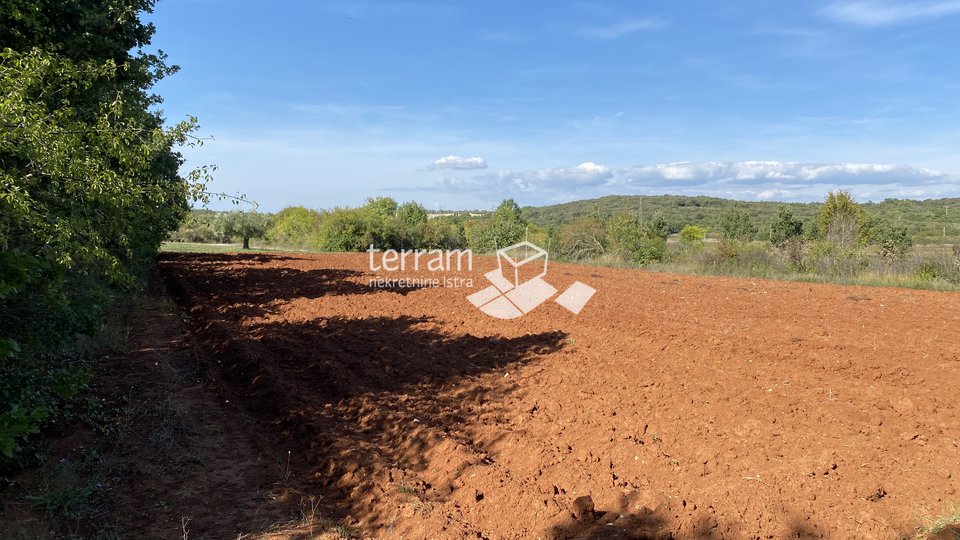 Istra, Rovinj, Špandiga, prodaje se poljoprivredno zemljište 3820m2