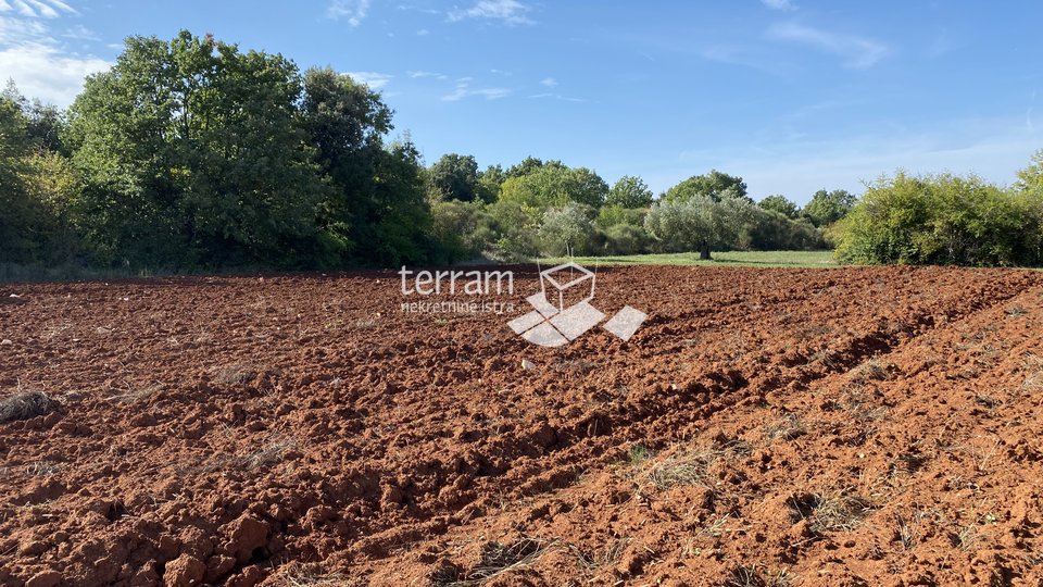 Istra, Rovinj, Špandiga, prodaje se poljoprivredno zemljište 3820m2