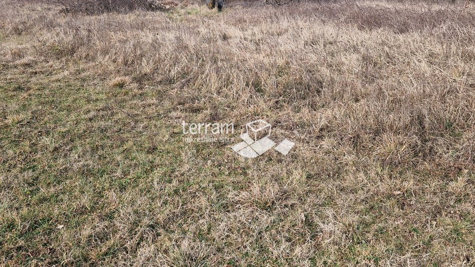 Istria, Barban, building plot 3160m2 with a building of 40m2 for sale
