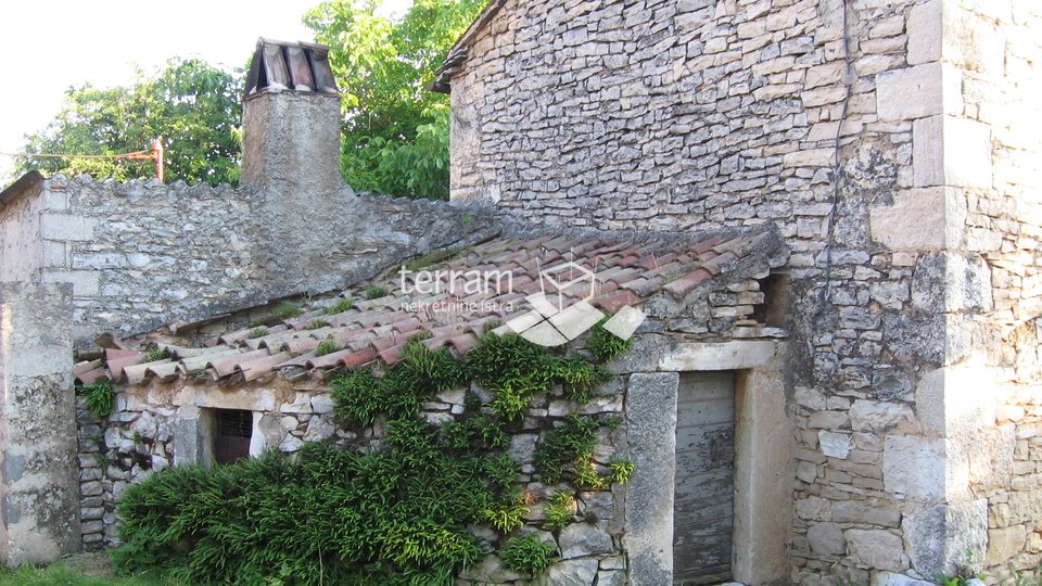 Istria, Barban, stone house for renovation 240m2 with garden 480m2 for sale