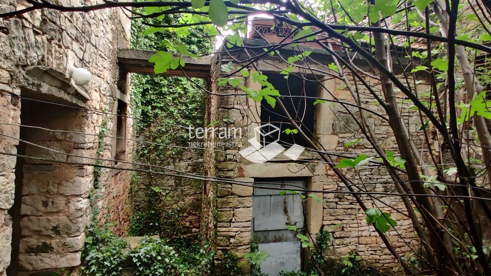 Istra, Vodnjan, stara istarska kamena kuća 200m2 s okućnicom 100m2, prodaja